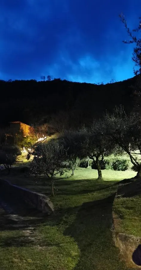 Hotel Tree House San Giorgio Solagna Pensjonat